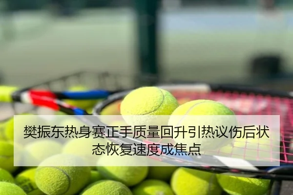 樊振东热身赛正手质量回升引热议伤后状态恢复速度成焦点